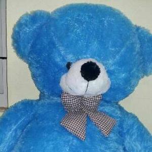 Sairakshambika Umasankar logo