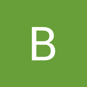 Bhumika Sadadiya logo