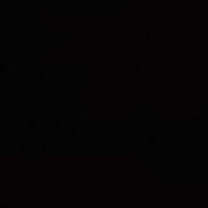 Vaishnavi Achutha logo