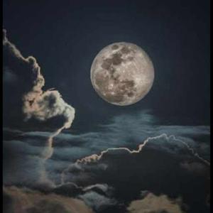 Vaishnavi Gupta logo