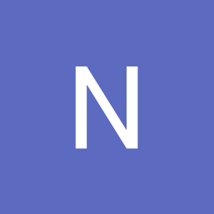 Nida Fatima logo