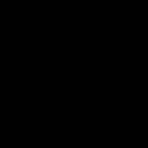 Shree Vyas logo