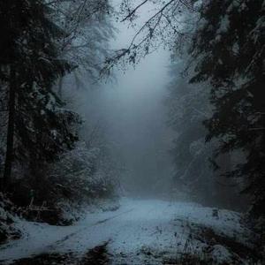 Sheetal Bhardwaj logo