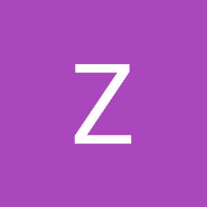 Zinath shaikh logo