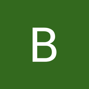 Bidisa Dutta logo