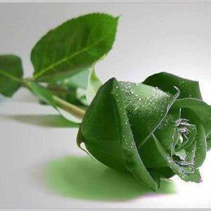 Anjugam Govindaraju logo