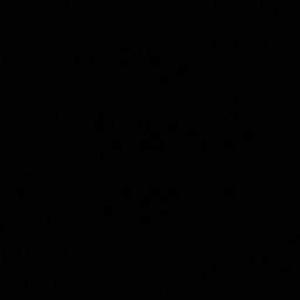 Deeksha Patial logo