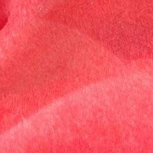 Yeasmin Sultana logo