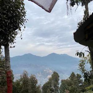 Prakriti Khanal logo