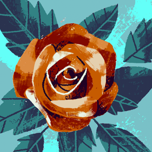 Janvi logo