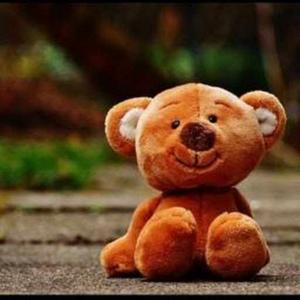 Doddipati Subbulu logo