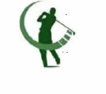golfswingdoctor