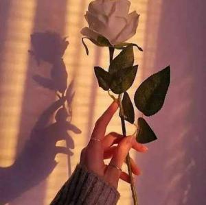 Ananthika Santhosh logo