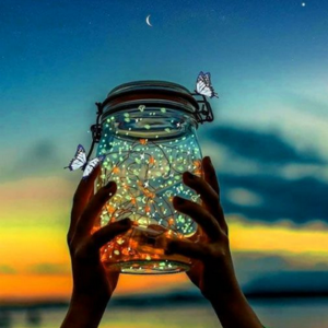 lakes velakaturi logo