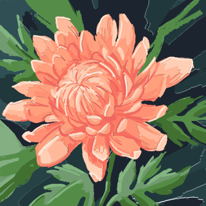 Dreamer logo