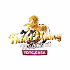 TDTC