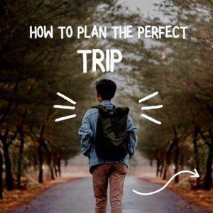 Trippedia - Plan Your Dream Trip Today!