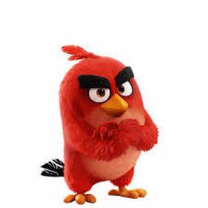 Red bird logo