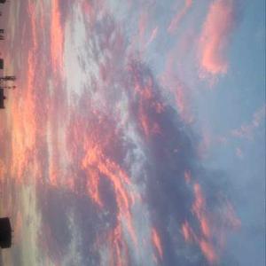 Modhurima Bhattacharya 8B logo