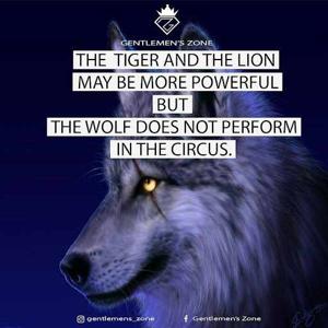 AVANI GAJENDRAGAD logo