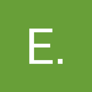 E. Niharika logo