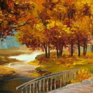 Akshita Rohatgi logo