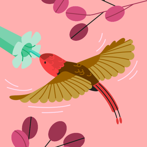 024 Makadia Hetvi logo