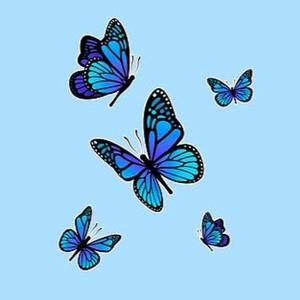 Jisha Sanklecha logo