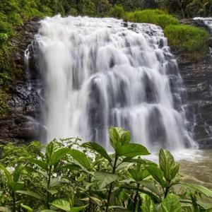 Devija Anil Kumar logo