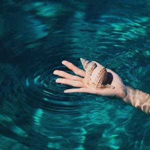 Kavishka Chaudhary logo