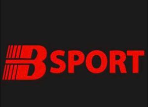 Bsports Bty521