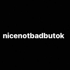 nicenotbadbutokay logo