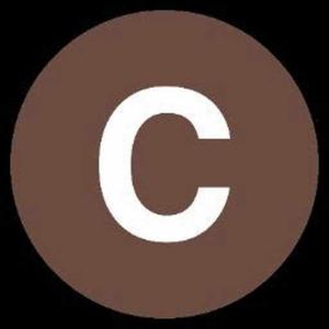charu singh logo