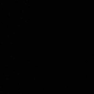 parushi srivastava logo