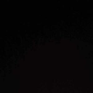 Sneha Shirke logo