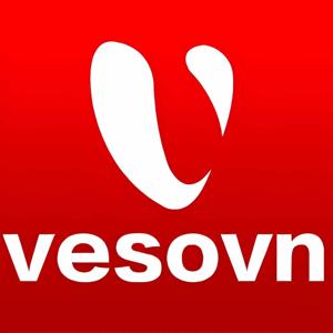 VesoVNme logo