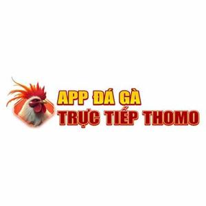 THOMO688 | APP ĐÁ GÀ TRỰC TIẾP – ĐÁ GÀ THOMO 88 HÔM NAY