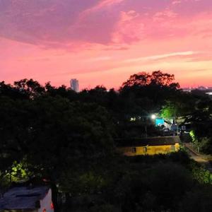 Achal Warjurkar logo