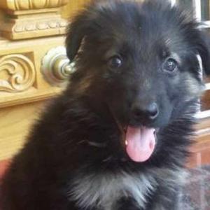 Preethi M Preethi M logo