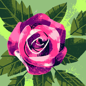 ••Z S•• logo