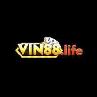 VIN88