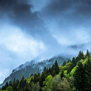 I don’t Knew Everything logo