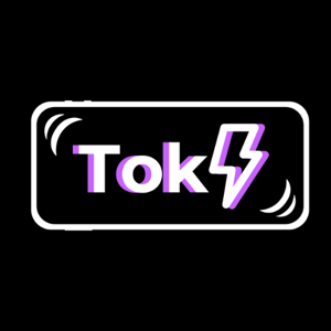 TokInstant logo