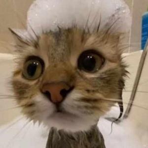 Demelza Skeeter logo