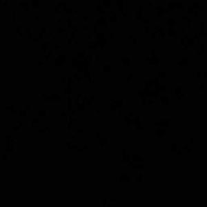 Shubhi Pandey logo