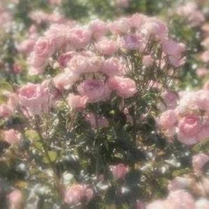 Purnashree Kumari logo