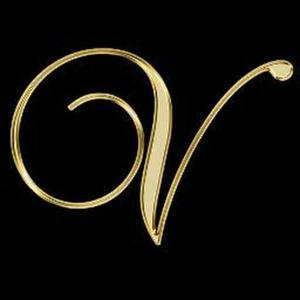 Vaibhavi Rathore logo