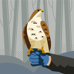 Priyanka Bareliwala logo