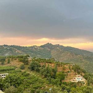 Dhruvikaa Sahni logo