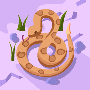 Parnika Mokashi logo